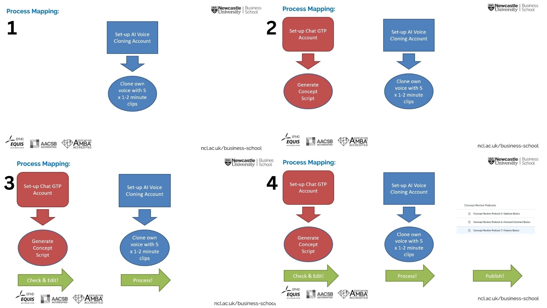 The image details the process mapping of Newcastle University